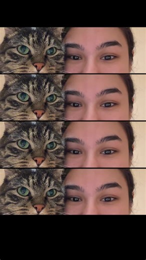 jama_with_books (@jama_with_books)’s videos with original sound - ☆☆