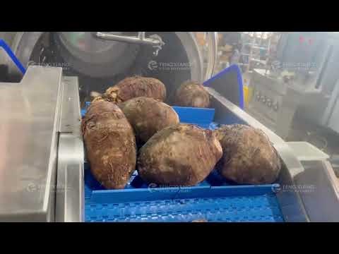 Automatic Taro Washing Line for Root Vegetables | Drum De-Mudding, Bubble & Brush Cleaning