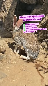 170K views · 1.3K reactions | Life with roommates can be …...