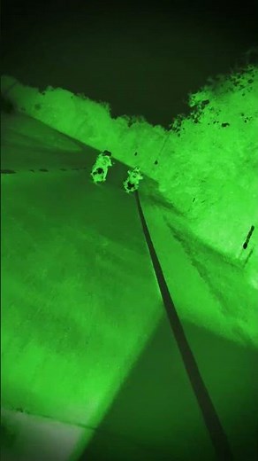 boozefighters#daytona