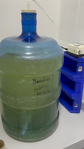 2.1K views · 115 reactions | Tanque de fermentación de Bacillus subtilis laboratorio Tecnoban #tecnoban | Laboratorio Microbiolab Boinsumos Ecuador | Facebook