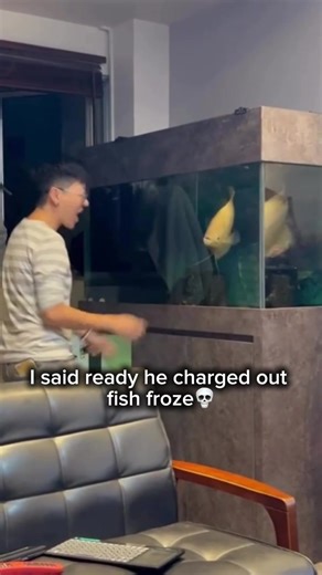 Animals getting scared iconic moments 💀 #funnyanimals#petsoftiktok#animalreaction #scary #fyp