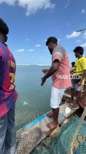 RAW_CATCH | Suddenly strikes on diy trap | Instagram
