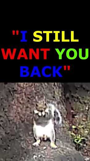 All of My Heart (short) #80songs #80smusic #music #songs #musiclovers #lovemusic #cute #love