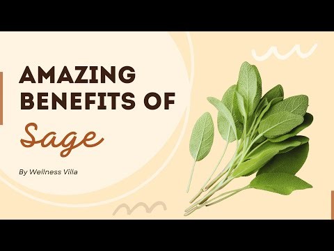 What are the wellness benefits of sage? 10 Amazing Health Benefits of Sage Leaves