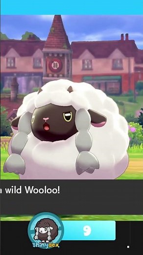 30 #wooloo encounters in #pokemonswordshield! #shinyhunting 1