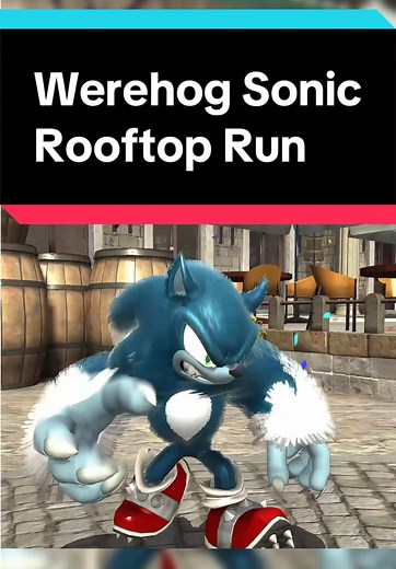 Sonic the Werehog in Rooftop Run Adventure