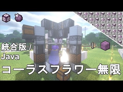 【マイクラ1.21】5分で作れる！超簡単＆高効率なコーラスフラワー自動収獲機の作り方解説！Minecraft Chorus Flower Farm【マインクラフト/ゆっくり実況/JE/BE/統合版】
