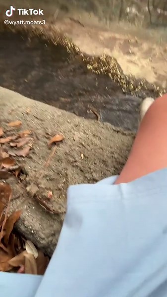 wyatt moats (@wyatt.moats3)’s videos with Enter Sandman (as made famous by Metallica) - Metal Militia