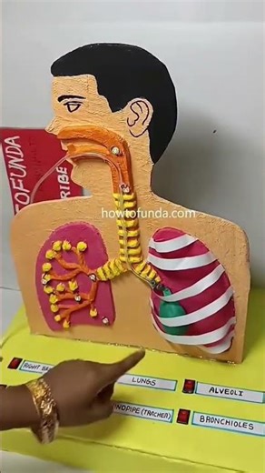 #science #biology #education #experiment