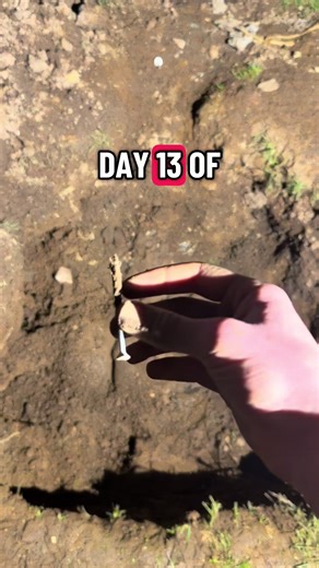 Day. 13) pls help me out :D #digging #spoontobunker #secretbunker #challenge #day13