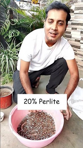 ✅ 2 BEST Potting Soil Mix for Indoor Plants
