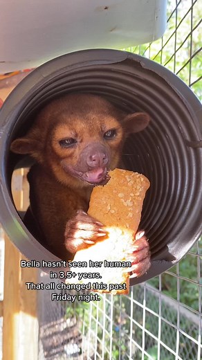 She cried. I cried. Bella cried. I’m still crying 😭