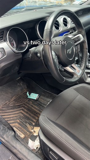 Right after cleaning your car: ✨ “This is the new me.” Two days later: “I live like this now.” | CarParts.com