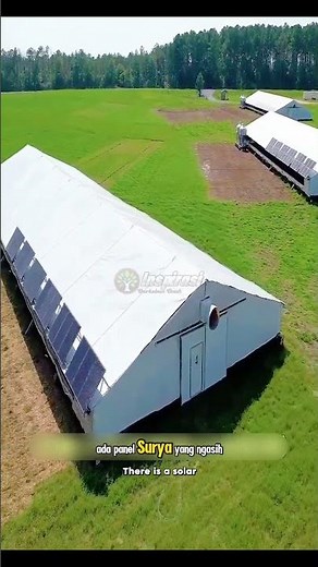 Modern Farming Innovation! Portable Chicken Coops Are Energy-Saving & Eco-Friendly!