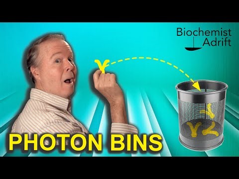 QUANTUM INDETERMINACY and Causal Determinism