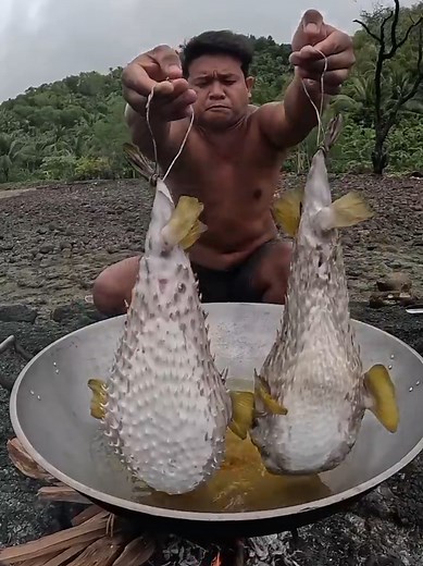 Giant Puffer Fish Recipe: Catch & Cook