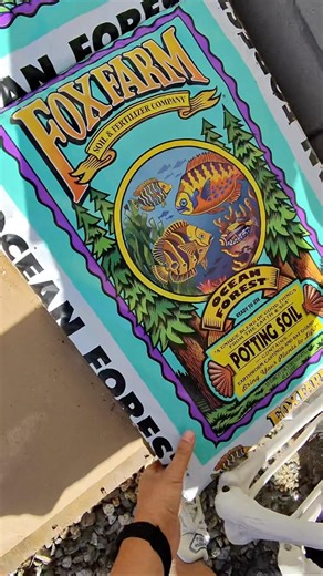 Fox Farm Ocean Forest Deal! Sunshine Growers #foxfarm
