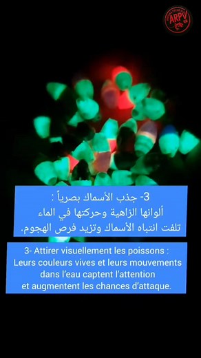 27K views · 199 reactions | Learn the importance of floating beads and how they improve your fishing technique. In this video, we’ll see how they protect knots, attract fish, and help keep the float perfectly balanced. Simple tips that can make a big difference in your fishing results!  #fblifestyle | Anouar peche vlog | Facebook