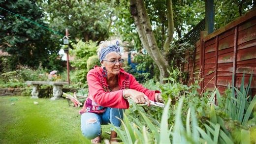 How to save your back while gardening