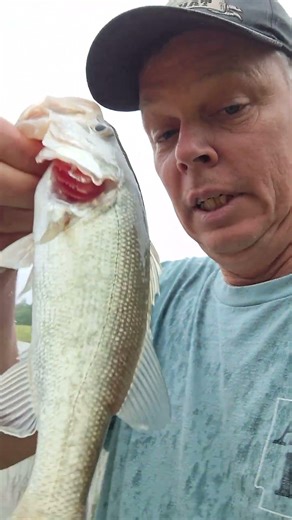 In God fishing in the rain caught a Largemouth Black Bass at a private pond in Dennard Arkansas