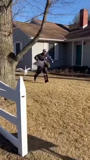 The World’s Toughest Mail Delivery: How Hard Can It Get?