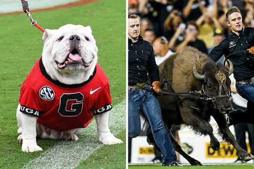 The 17 Greatest Live Mascots in College Football, Ranked