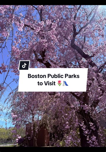 Parks in and around Boston help make the city more Vibrant 🌷🛝 Earth Day is the perfect opportunity to walk, bike or simply enjoy the fresh air, and Boston has a plethora of parks to help you on your outdoor adventure with nature. See scenic paths, flowers and wildlife that showcase how our city can thrive along nature. Take a look at some of our favorite green spaces that you can go to anytime. #earthday #parks #boston #nature