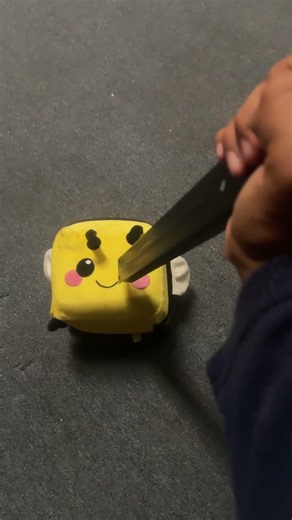 No, I did not hurt my dog in the making of the video