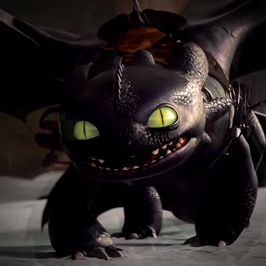 The Intense Death Glare of Toothless ft. Stoick | HTTYD Edit
