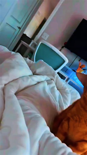 Hilarious Cats Doing Funny Things