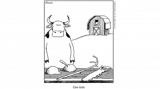 Cow Tools | Know Your Meme