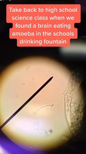 115K views · 1.1K reactions |  Option 1 — Shock + Curiosity They...