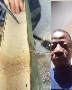 405K views · 7.7K reactions | La chine est tellement avancée dans sa technologie et dans sa science #reelsvideoシ #reelsfypシ #viralpost2025シ #reelviral | MC Philip | Facebook