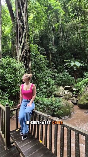 Xishuangbanna Rainforest - Yunnan, China 🇨🇳