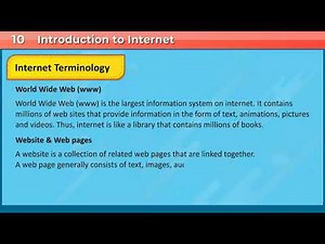 INTERNET TERMINOLOGY