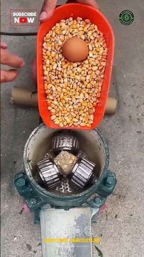 Pellet Feed Making Machine