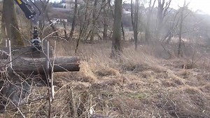 Strength and Precision of Modern Poplar Harvesting Machines