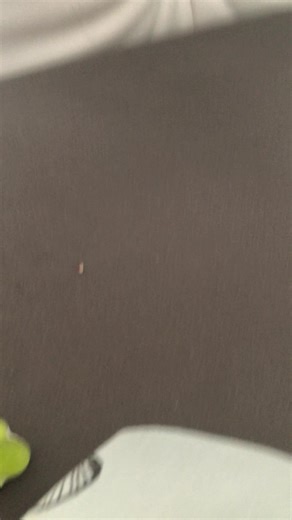 Frog Memes That Make You Laugh