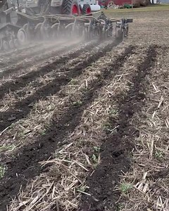 8.4K views · 172 reactions | Strip Till del 1 Marzo in Illinois  …Da @Shay Foulk #NewsAgricoltura | NewsAgricoltura | Facebook