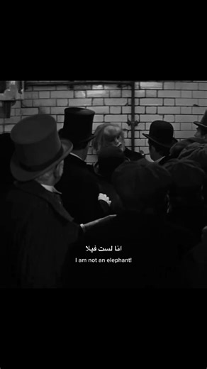 فيلم The Elephant Man (1980) يتحدث عن قصة إنسانية مؤثرة مبنية على أحداث حقيقية. الفيلم يحكي عن جون ميريك، رجل بريطاني عاش في القرن التاسع عشر وكان يعاني من تشوهات جسدية شديدة ونادرة، جعلت الناس يطلقون عليه لقب “رجل الفيل”. في البداية يُستغل ويُعرض في السيرك كشيء غريب لجني المال، وسط قسوة وتنمر المجتمع. لاحقًا يلتقي به الدكتور فريدريك تريفز، طبيب يكتشف أن ميريك ليس “وحشًا” كما يعتقد الناس، بل إنسان ذكي، حساس، وطيب القلب. الفيلم يركز على: الكرامة الإنسانية القسوة والرحمة في المجتمع الشكل الخارجي م