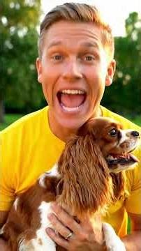 Stop Doing This! 🛑 Dog Myths Debunked Part 4 🐕🚫