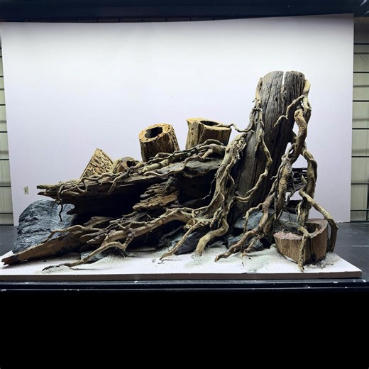 Aquascape Aquarium Decor, Fish House, Terrarium Vivarium Paludarium Landscaping - Etsy