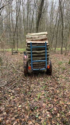 Hauling Timber with a Mini Tractor 💪🌲
