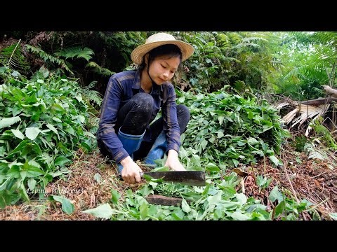 Building Terraces to Farm on a Hillside | Farm Life, Living Wilderness (ep1)