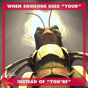 It’s apparent some people need to rethink their life a bit. | Ratatouille