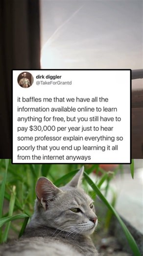 Paying for the degree, learning from the internet 😂