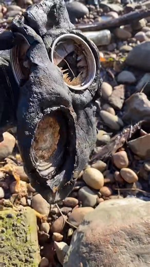 Check out this old gas-mask, right? I wonder how old it is… #fraserriverfinds #maskup #gasmask #militarytiktok #vintage #fraserriver #richmondbc #beachcombing #beachfinds #8ballbeach #amazingfinds #respirator #abandoned #platoon | Alison Patton