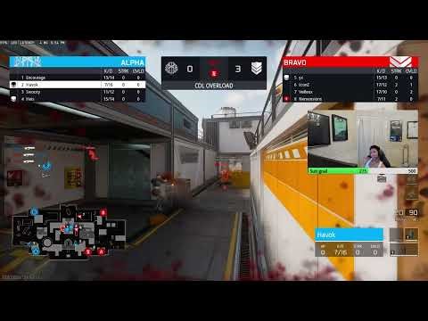 Sib & Dashy Talk About Other Pros While Watching Stallions Scrim!