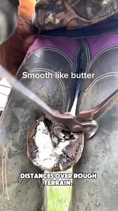 Smooth like butter. | Farrier Flow